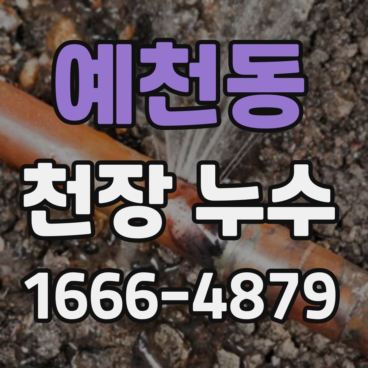 예천동 천장 누수
