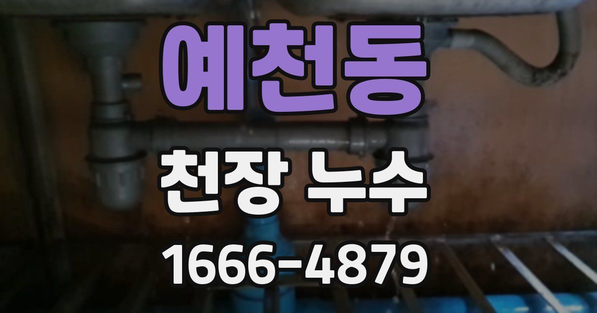예천동 천장 누수