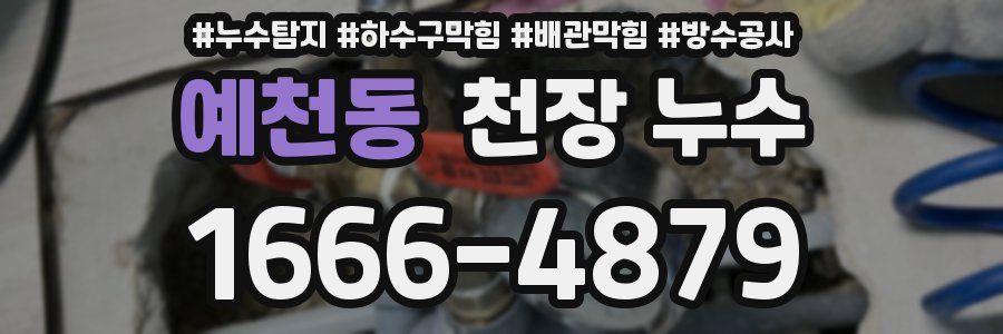 예천동 천장 누수