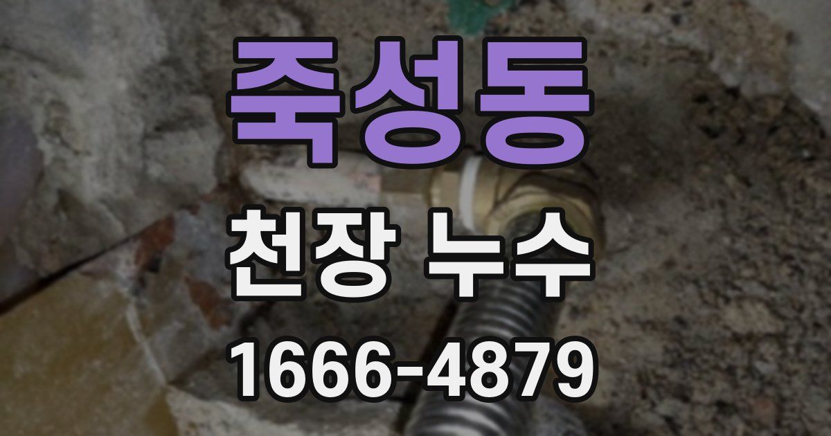 죽성동 천장 누수