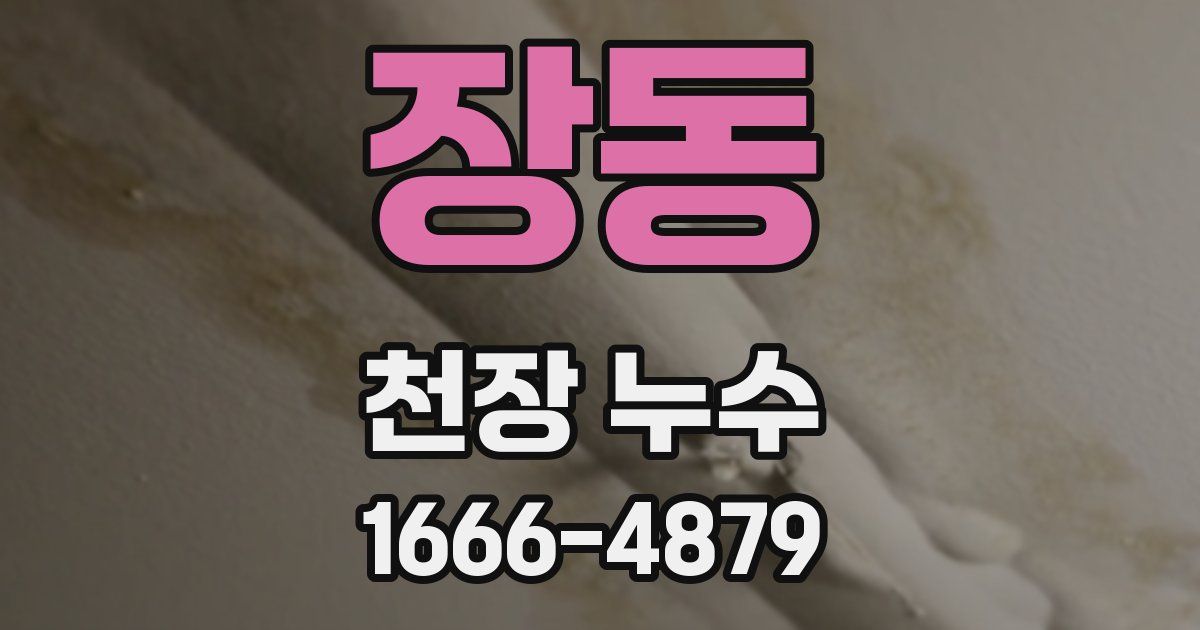 장동 천장 누수
