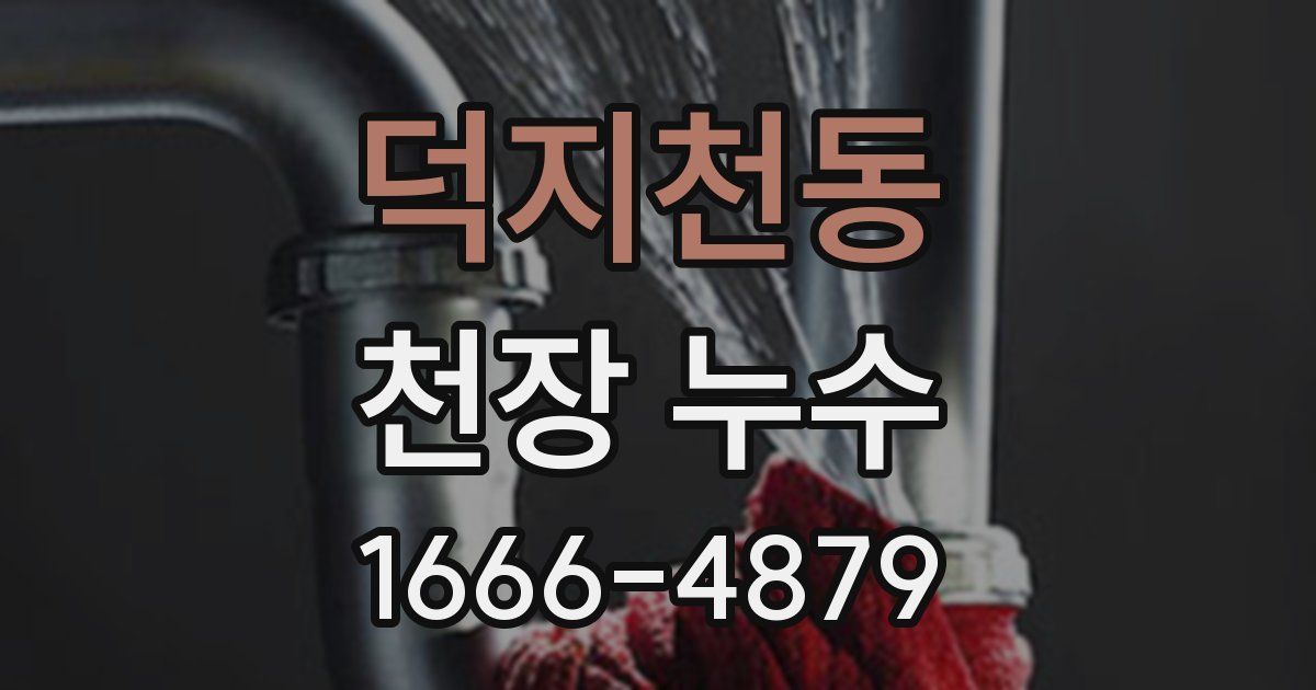 덕지천동 천장 누수