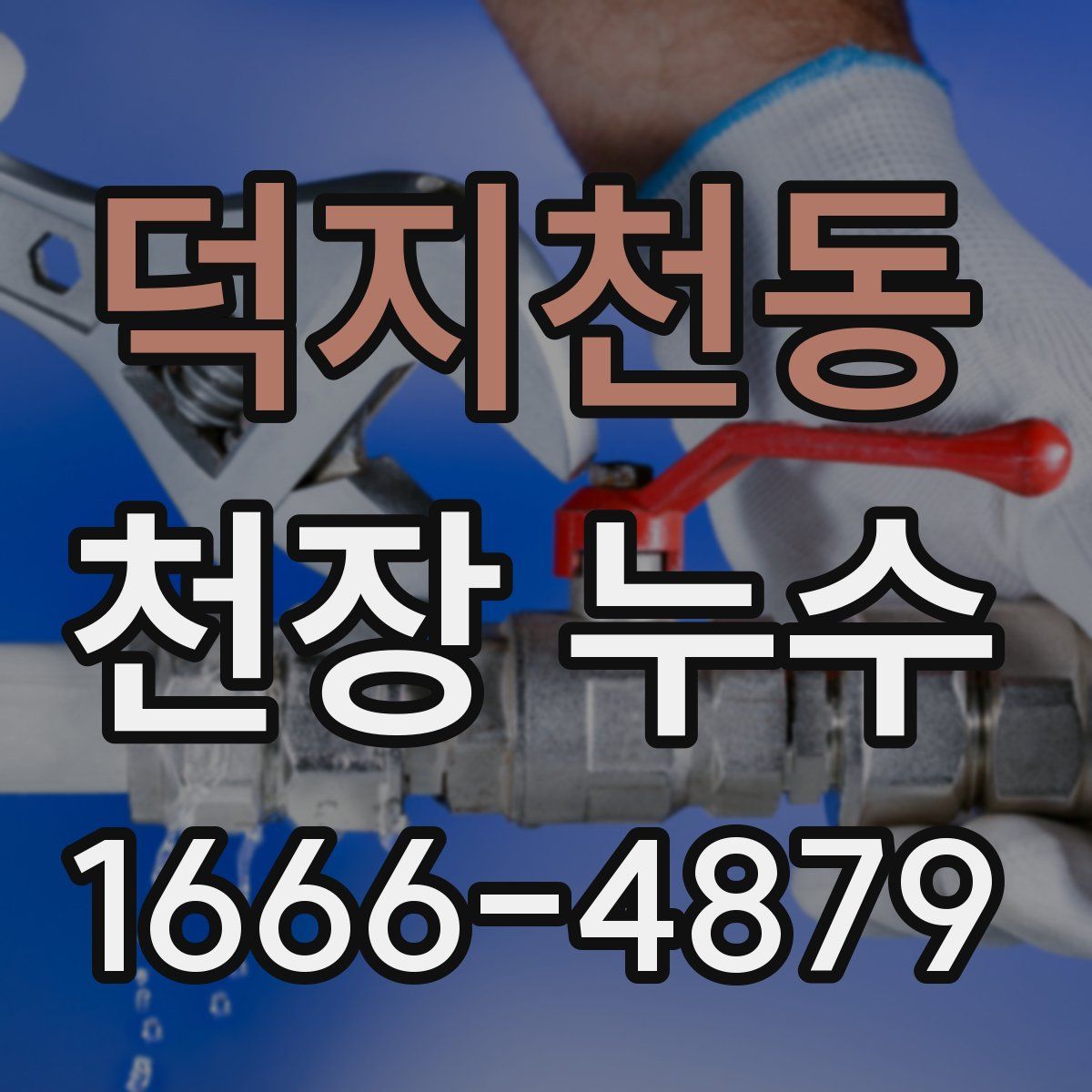덕지천동 천장 누수