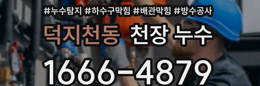 덕지천동 천장 누수