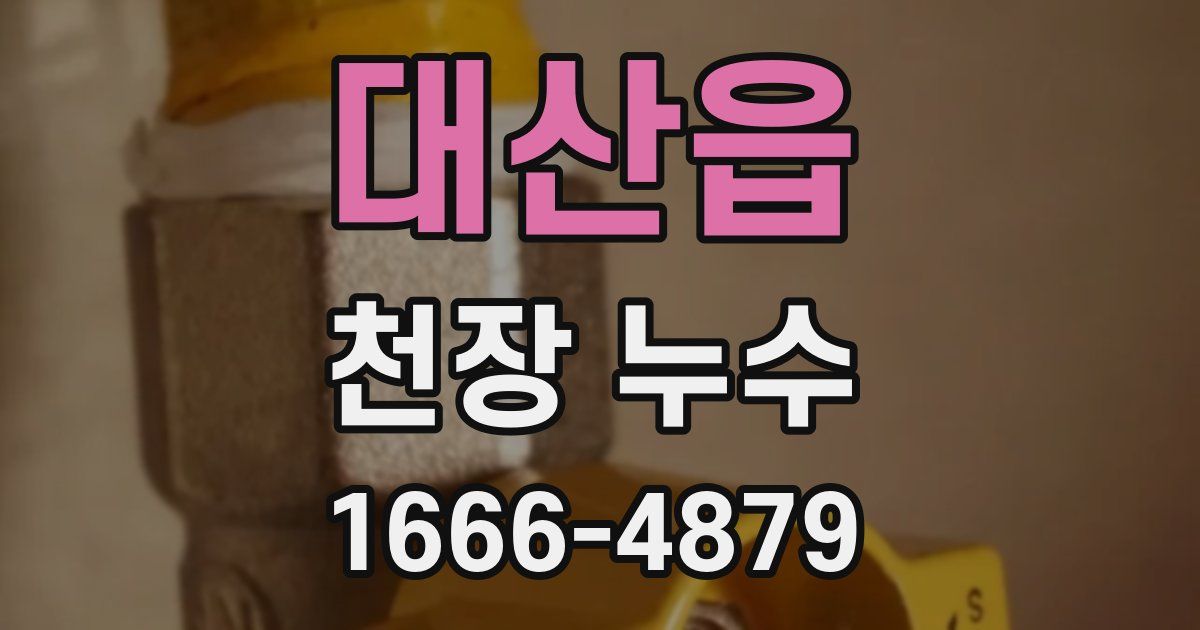 대산읍 천장 누수