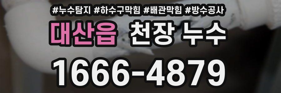 대산읍 천장 누수