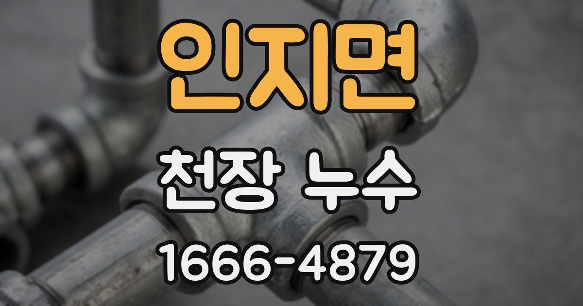 인지면 천장 누수
