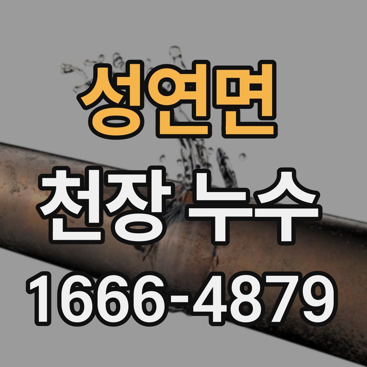성연면 천장 누수