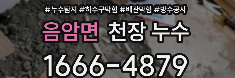 음암면 천장 누수