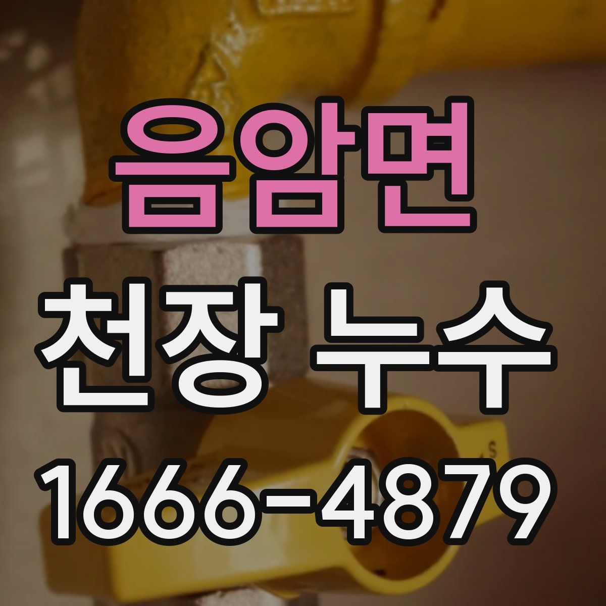 음암면 천장 누수