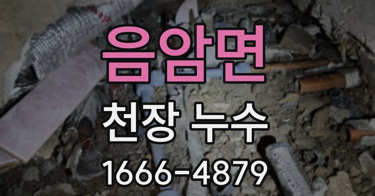 음암면 천장 누수