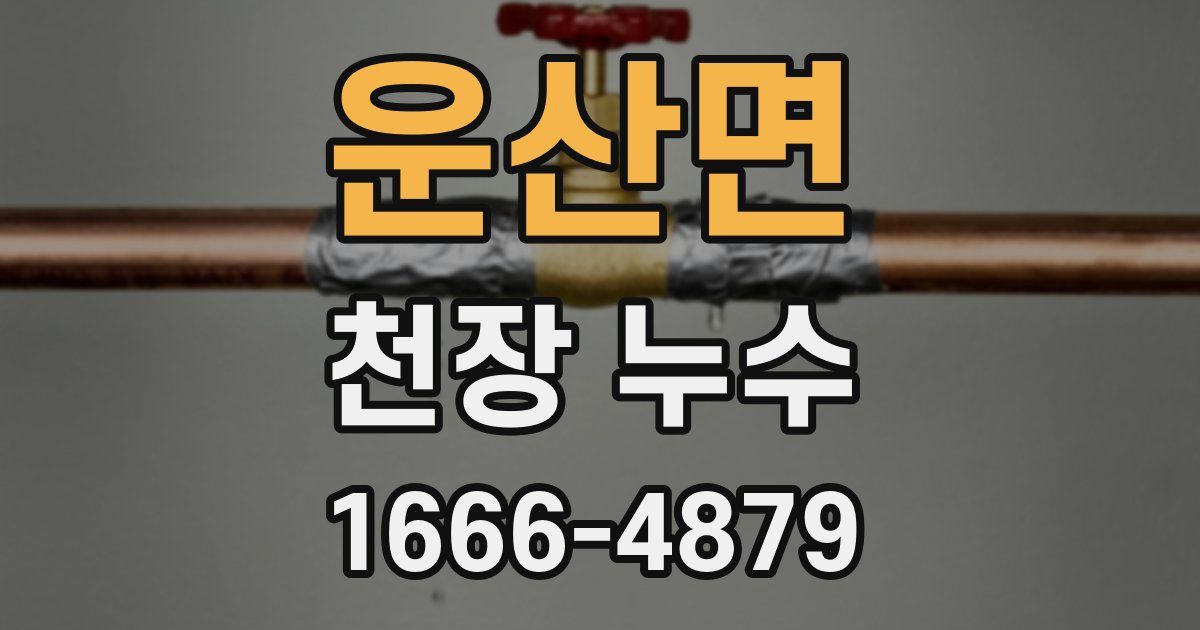 운산면 천장 누수