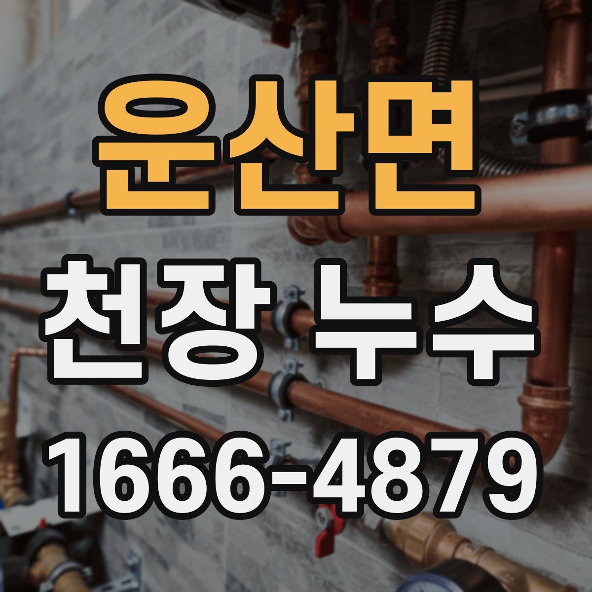 운산면 천장 누수