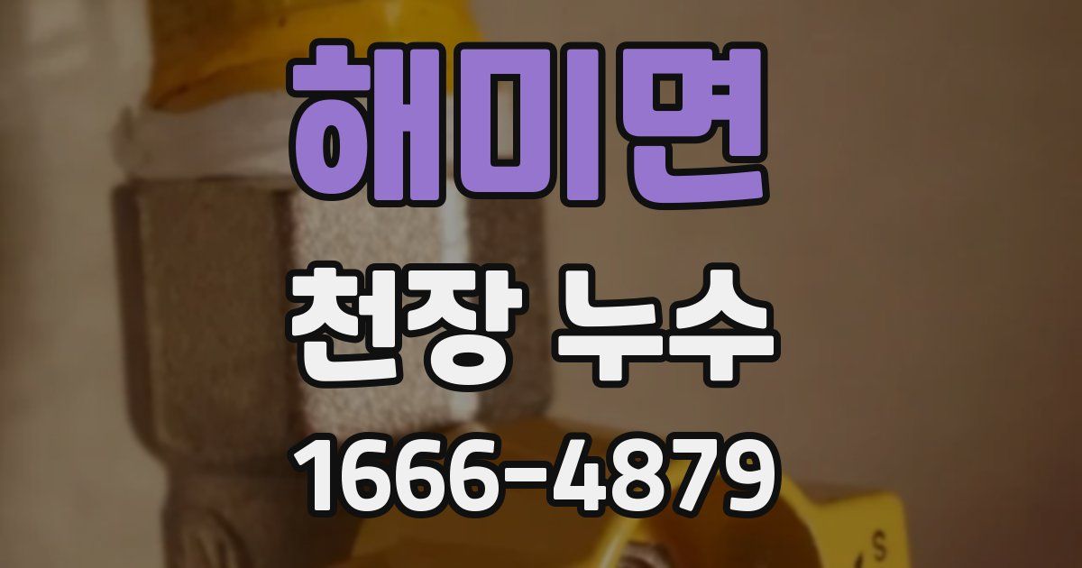 해미면 천장 누수