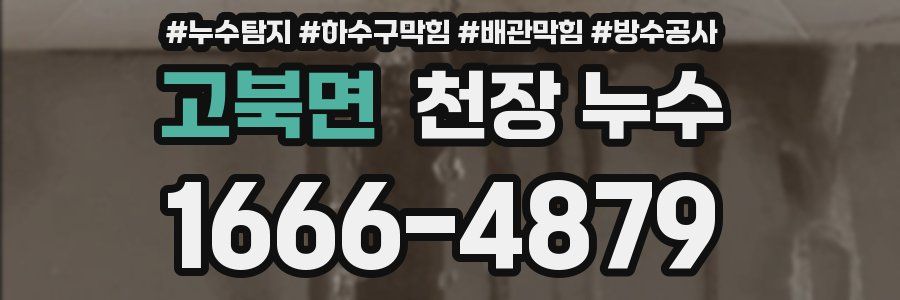 고북면 천장 누수