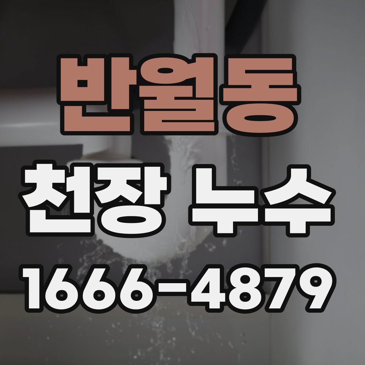 반월동 천장 누수
