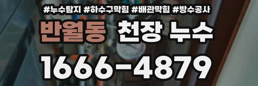 반월동 천장 누수