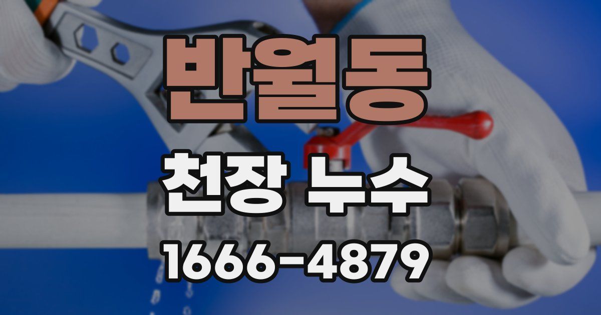 반월동 천장 누수