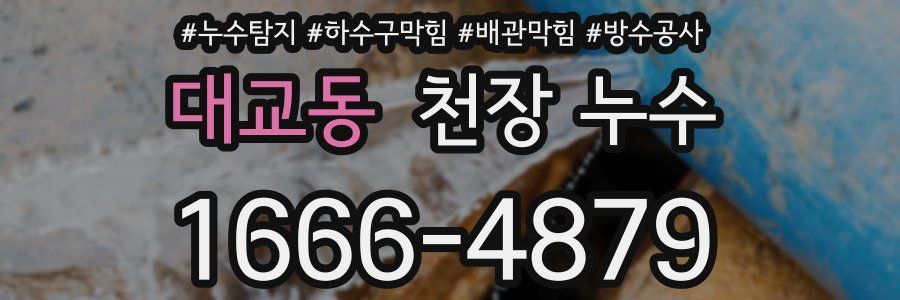 대교동 천장 누수
