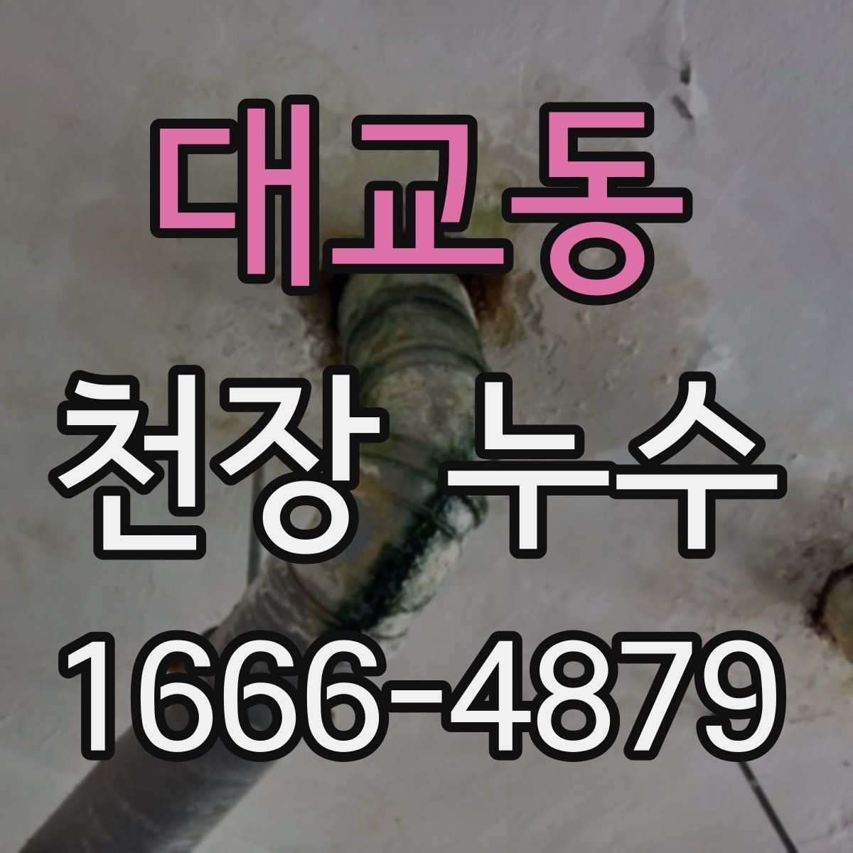 대교동 천장 누수