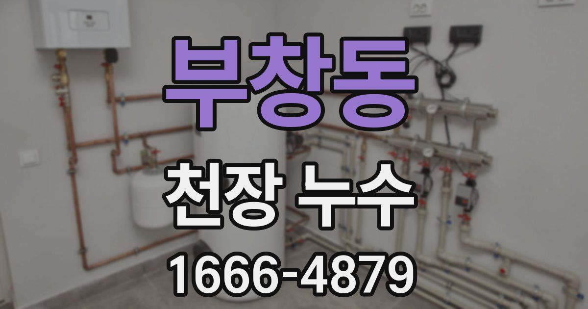 부창동 천장 누수