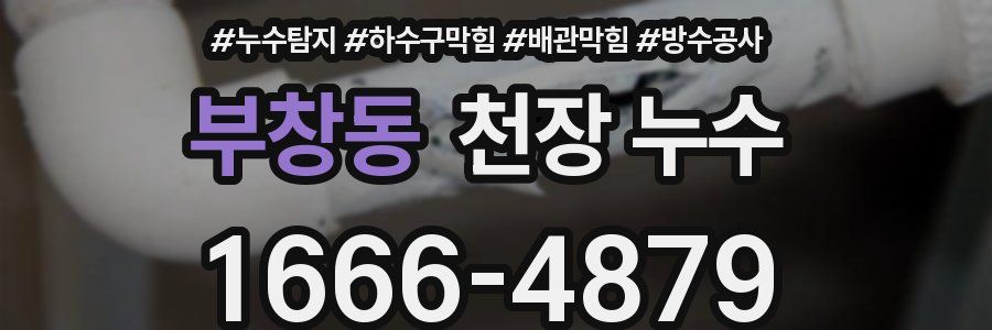 부창동 천장 누수