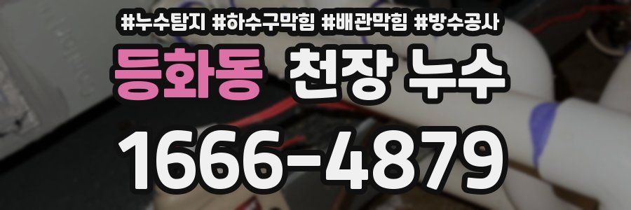 등화동 천장 누수
