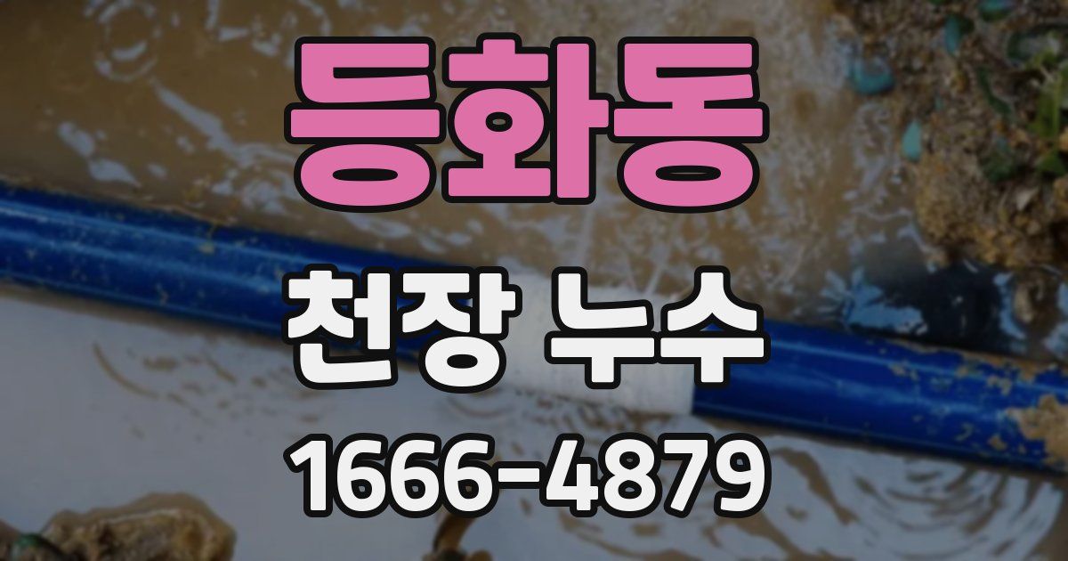 등화동 천장 누수