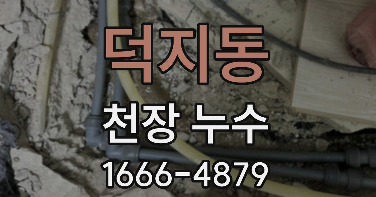 덕지동 천장 누수