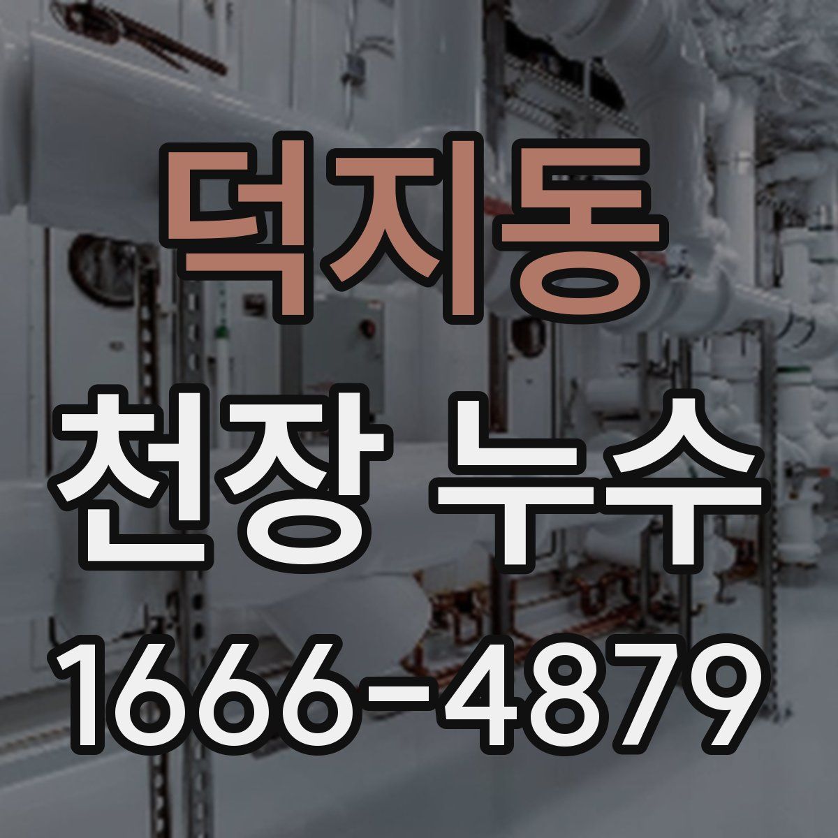 덕지동 천장 누수