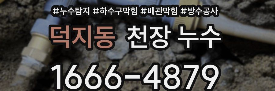 덕지동 천장 누수
