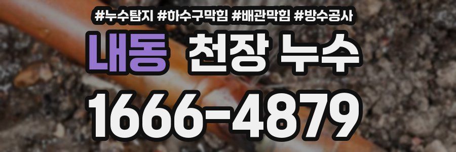 내동 천장 누수