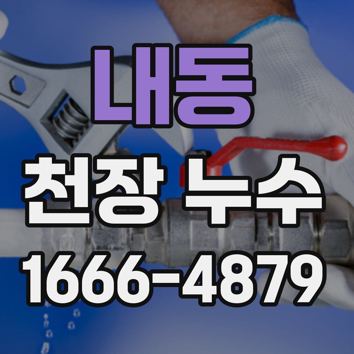 내동 천장 누수
