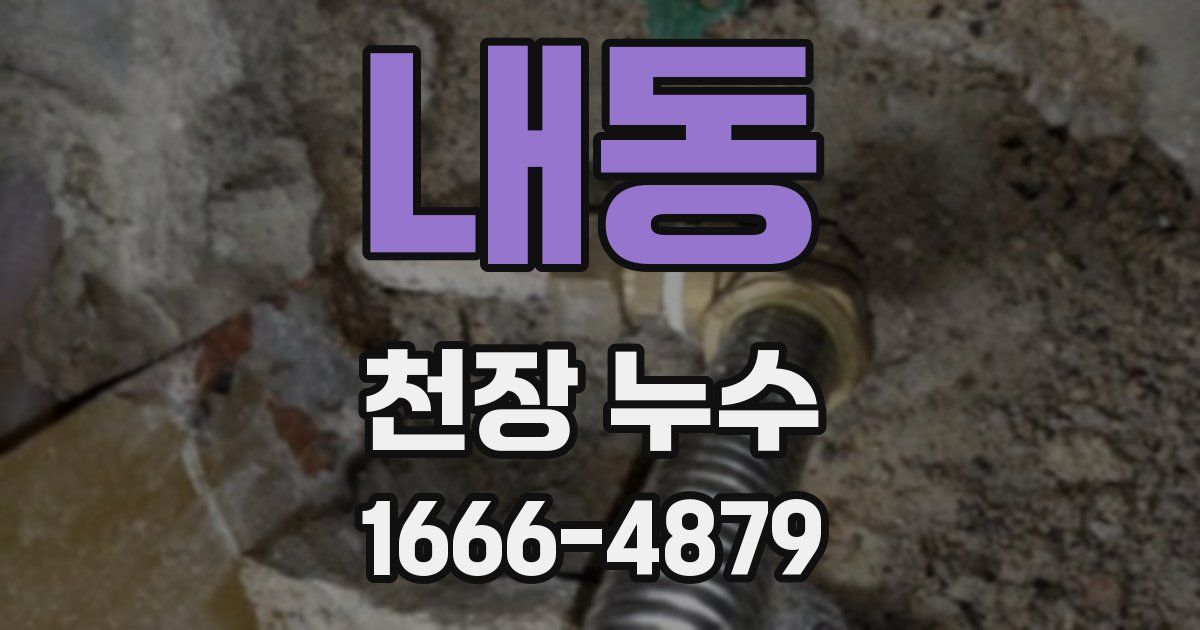 내동 천장 누수