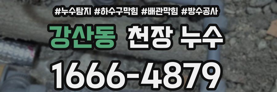 강산동 천장 누수