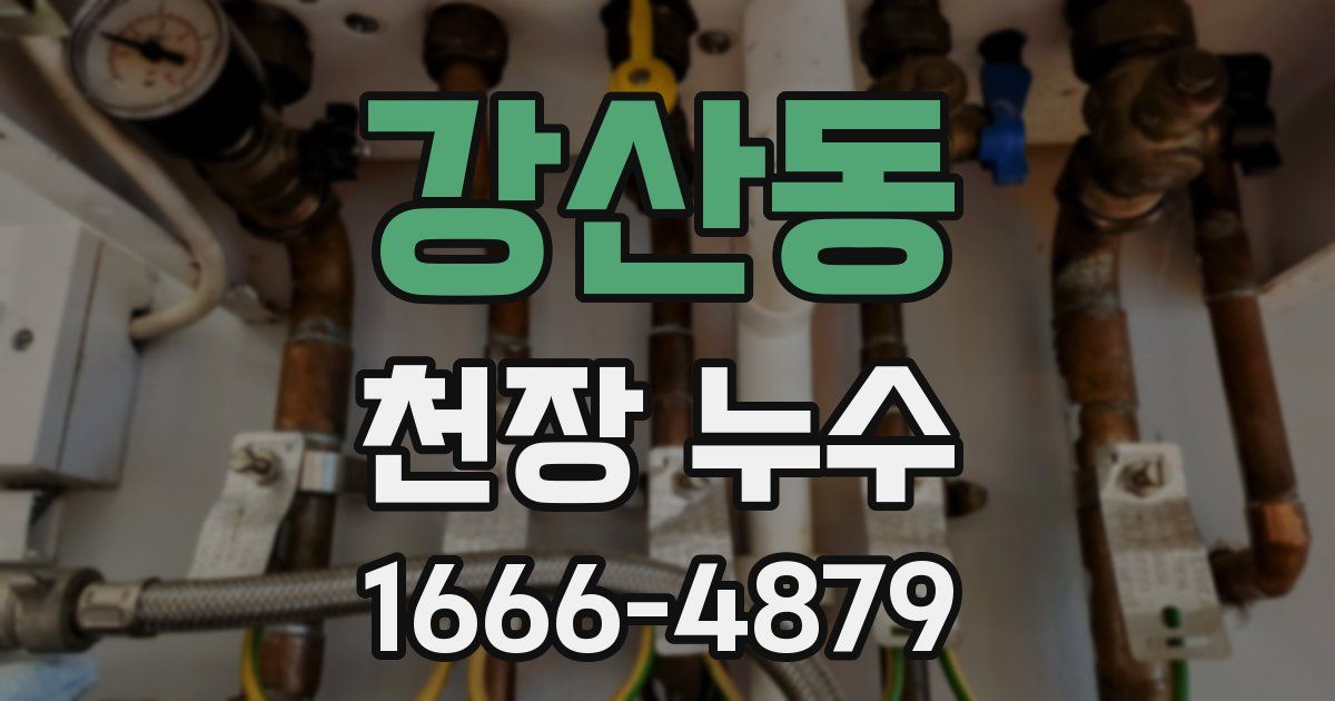 강산동 천장 누수