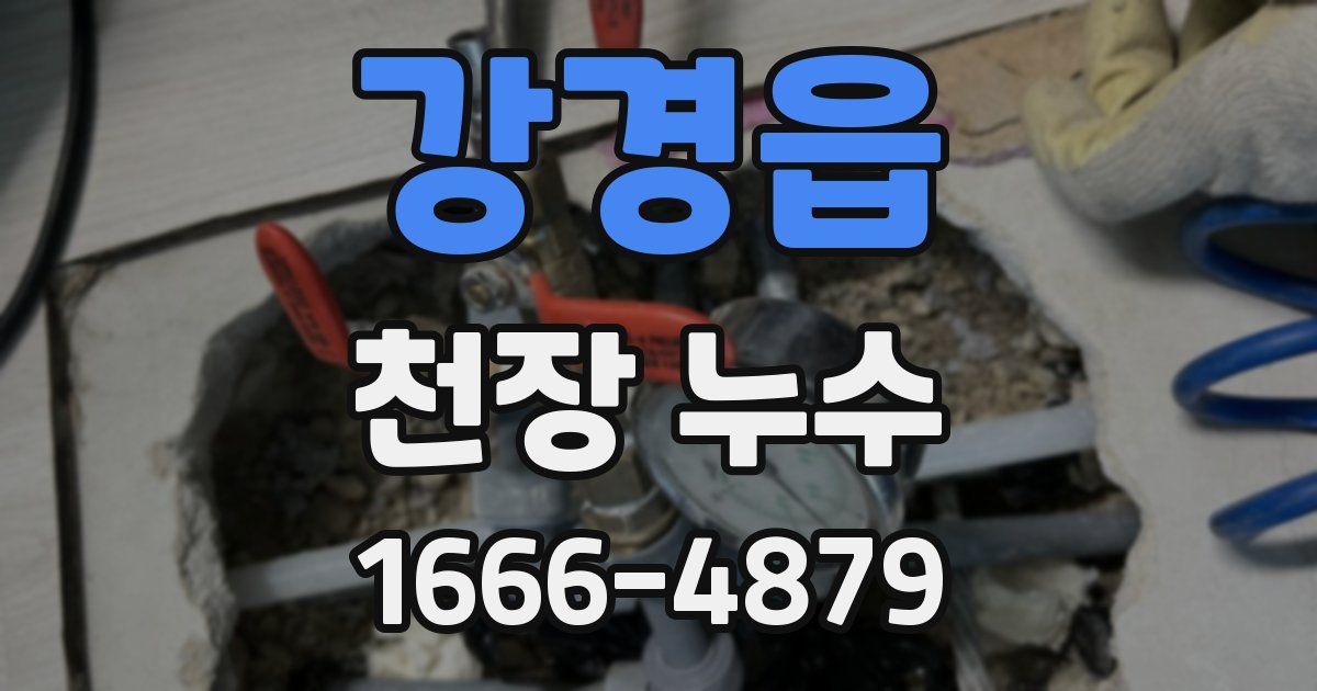 강경읍 천장 누수