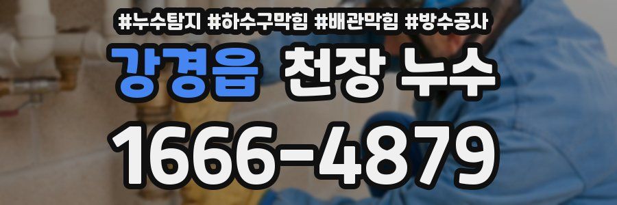 강경읍 천장 누수