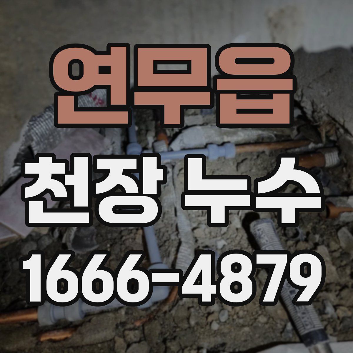 연무읍 천장 누수