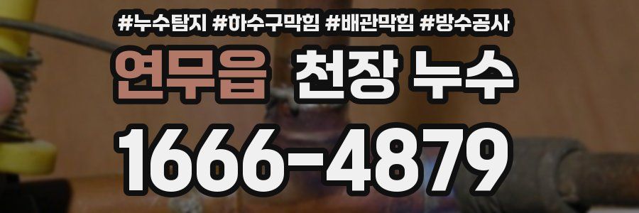 연무읍 천장 누수