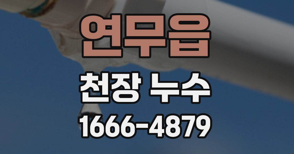 연무읍 천장 누수