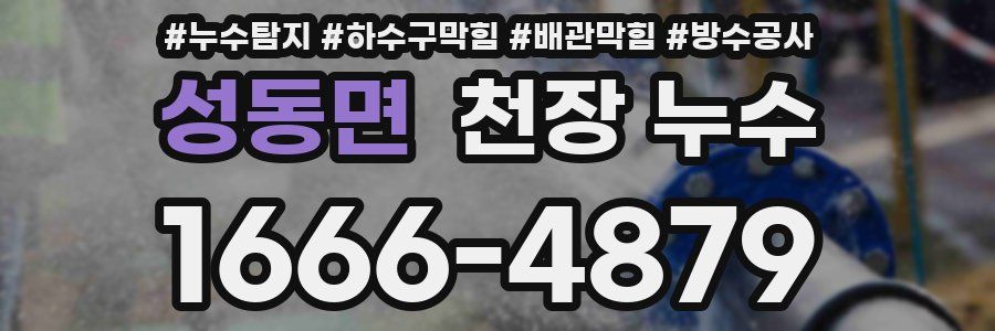 성동면 천장 누수