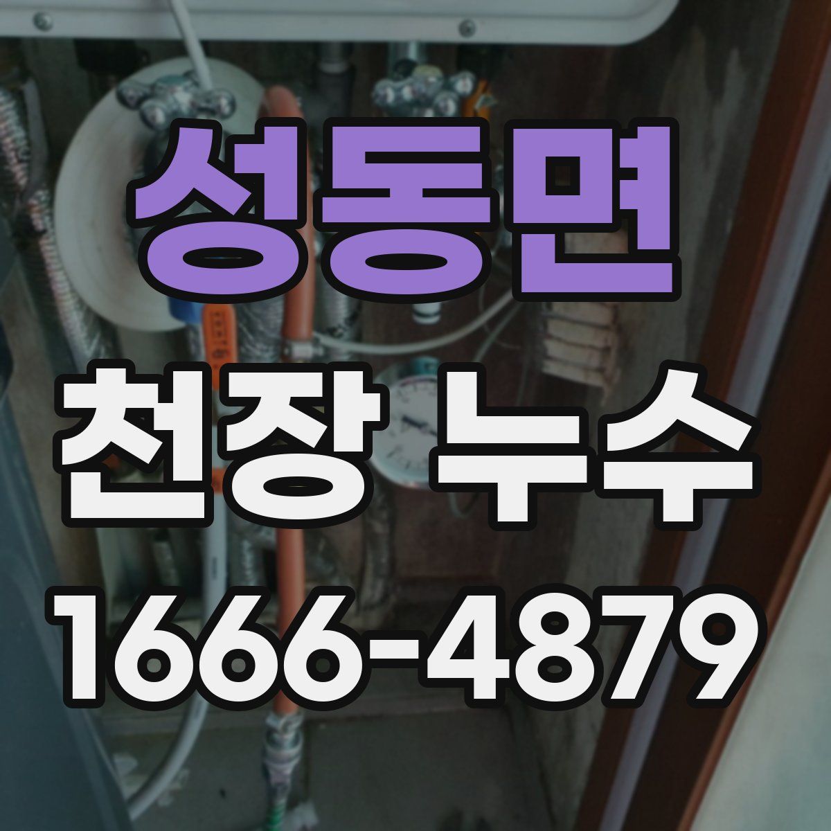 성동면 천장 누수