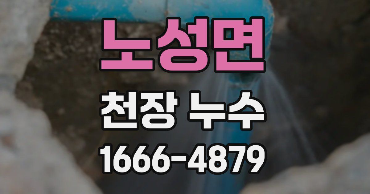 노성면 천장 누수