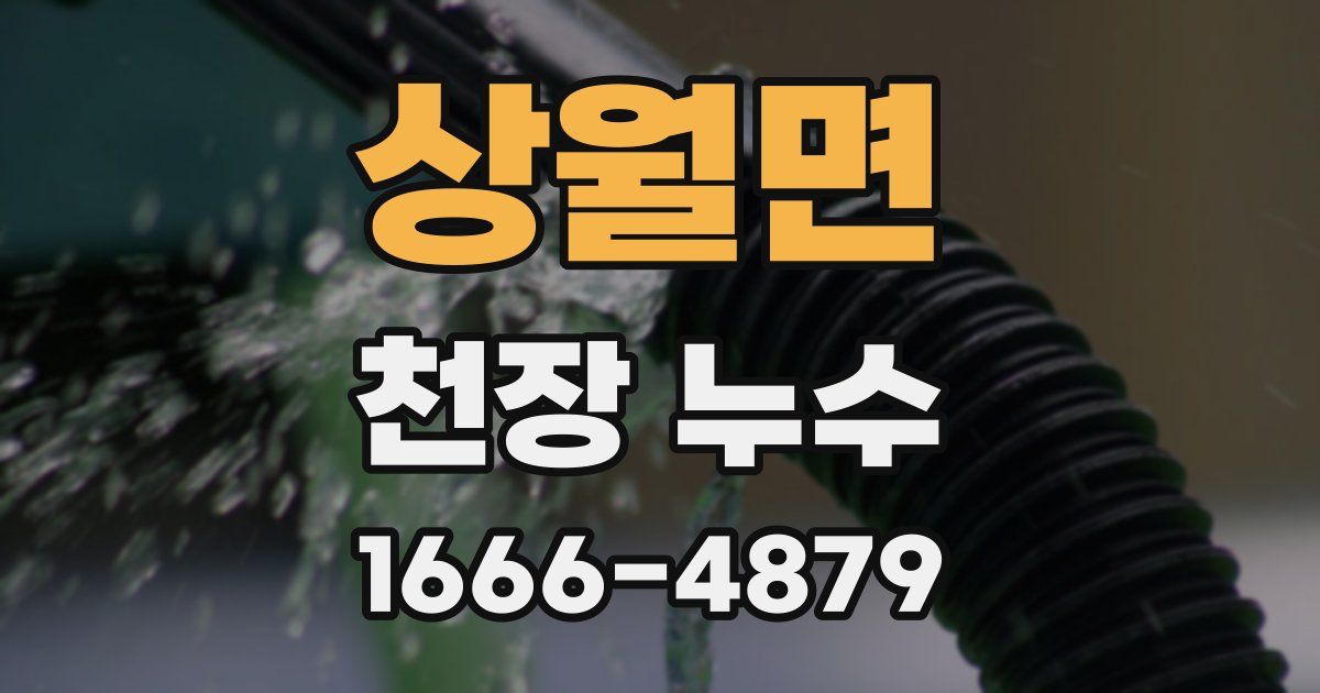 상월면 천장 누수