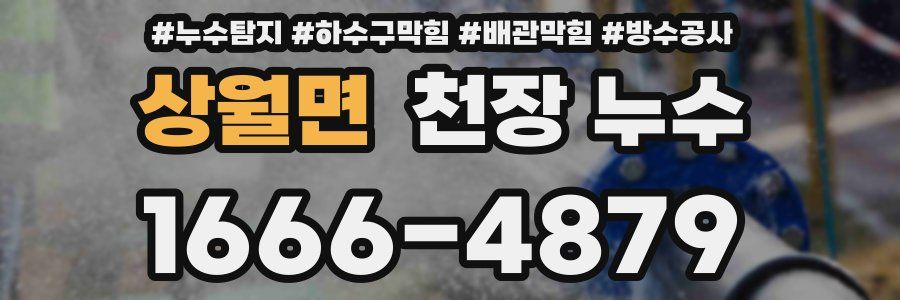 상월면 천장 누수
