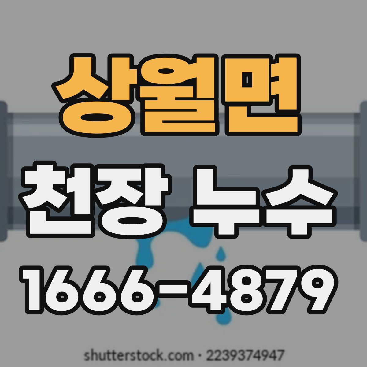 상월면 천장 누수