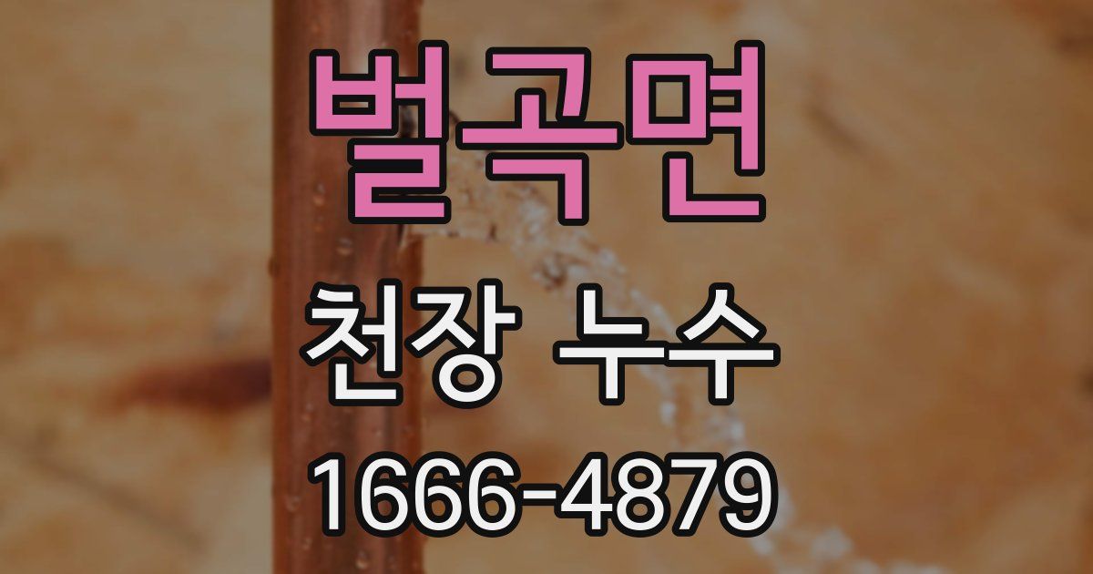 벌곡면 천장 누수