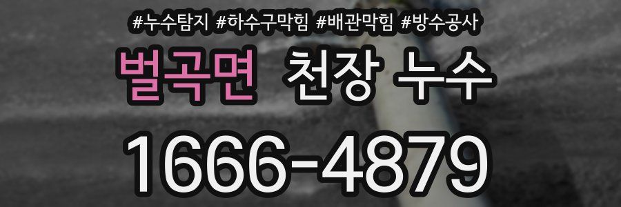 벌곡면 천장 누수