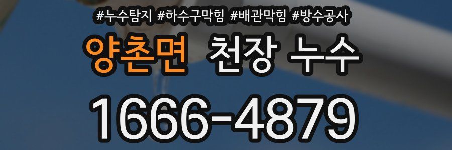 양촌면 천장 누수